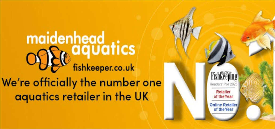 Maidenhead Aquatics